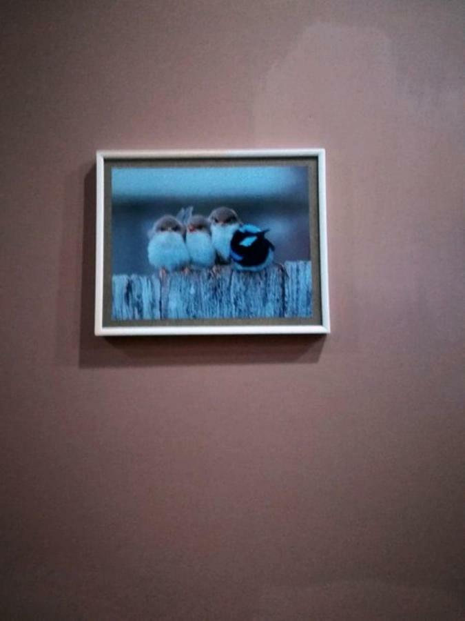 Birdhome In Tbilisi Bagian luar foto